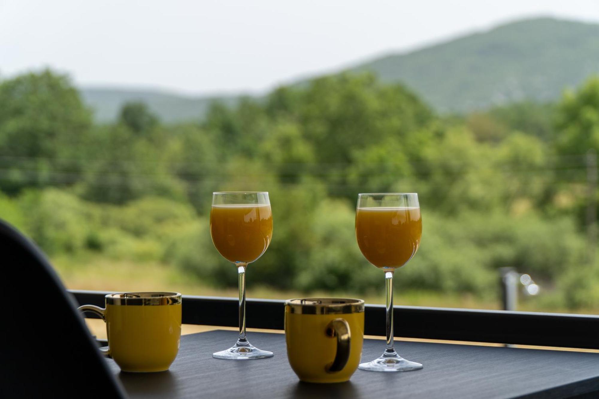 Villa Plum House - With Pool Gospic